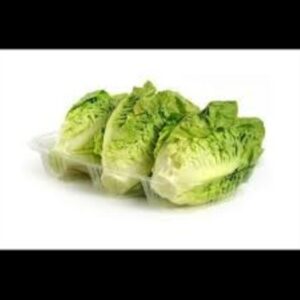 COGOLLOS LECHUGA