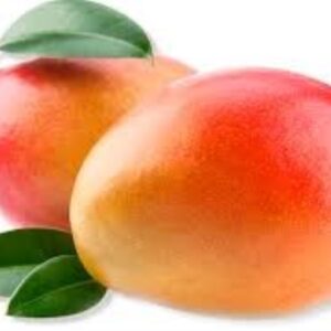 MANGO DE AVION 1 UNIDAD